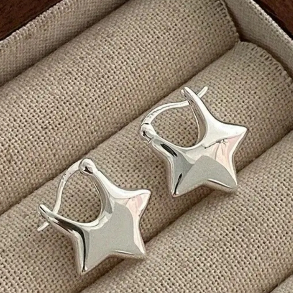 1pair Simple And Stylish Solid Star Earrings
